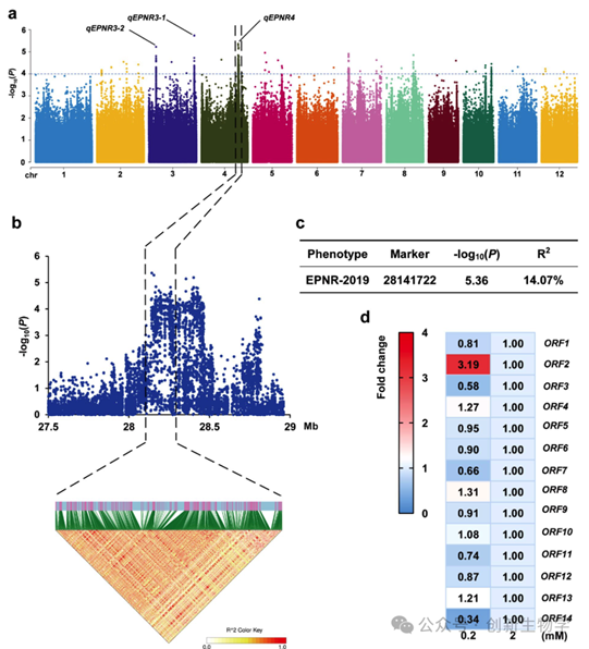 //mmbiz.qpic.cn/sz_mmbiz_png/o06oNqAgNF0Wxx2SyCTMhsRWCRGw72BuIiaeibFkSHoaVnhqNtCTk4UobAquDia9xzWYLhPGyJFnVsNcuk4wrPPE9ww2cBPWeYL5E7WDoBlvhA/640?wx_fmt=png&from=appmsg&watermark=1