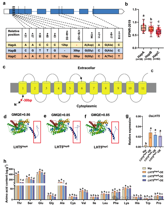 //mmbiz.qpic.cn/mmbiz_png/o06oNqAgNF24Yq9SFmDvk6SIj1KFzvP38ibHlkJOaibp0UDyicqNwKCa19QibMuemib5W9L6DVfibbFlGIokzlbX4tvicOHwtichEOsGiaVlKC9b0Psc/640?wx_fmt=png&from=appmsg&watermark=1