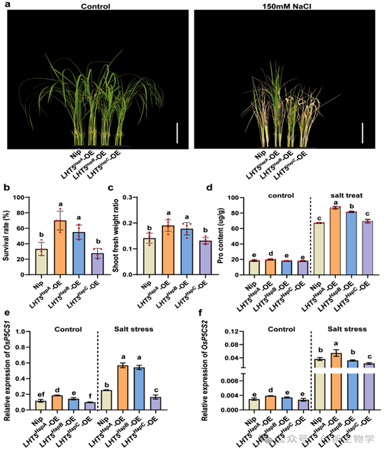 //mmbiz.qpic.cn/mmbiz_png/o06oNqAgNF0NQk52ibDp8Nzd9vhGrBgibTKraXRakw1Oyf1yg3A1UMqtNA9UC8O02KqfParQGLWEtkYtgE7Y0uTLXMfxHbE92JafM5tAWjiaPI/640?wx_fmt=png&from=appmsg&watermark=1