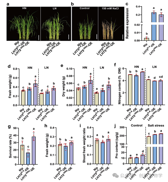 //mmbiz.qpic.cn/mmbiz_png/o06oNqAgNF3plsQd5LJClBLxVGYBaAzkKmhp3cLyNnScuwqSN2iayG1UHXOAiaWZlTup6tISe2f1ia3Lvemgb9VibHCkIX1X7Bqvmr2zXibBsN1s/640?wx_fmt=png&from=appmsg&watermark=1