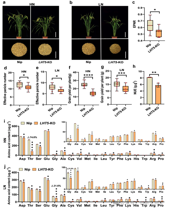 //mmbiz.qpic.cn/mmbiz_png/o06oNqAgNF16RoDo5Tu0Lduzuywvjm1qcpn4SlzpeFmDQeia1e58sFwuZib5tD1KHS1AxphvBDDibfTkP6ZPFExfHYJweUqia79Xicu3FHFmlnw0/640?wx_fmt=png&from=appmsg&watermark=1