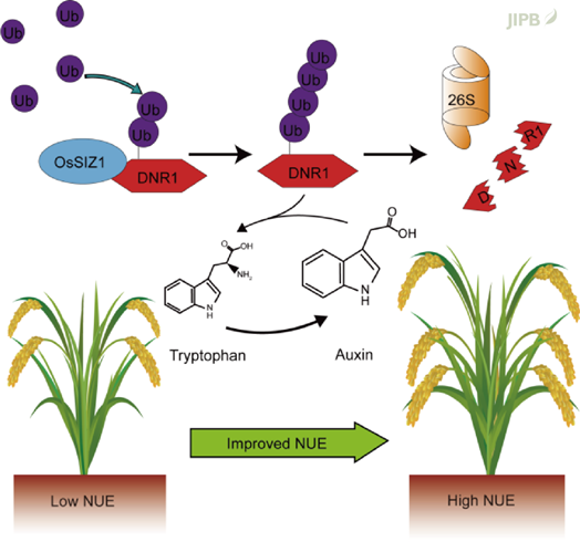 //mmbiz.qpic.cn/sz_mmbiz_png/Pms46XiaGB2yyYqeNicpsRqQtANX3ezs9uVaseOhaBeQQVLBkN0bIMgKUnrNvBQgxpCqLW2fn6QJbiaK98uNmY98EsqYJcjmhKfyicPicO1YFCxQ/640?wx_fmt=png&from=appmsg