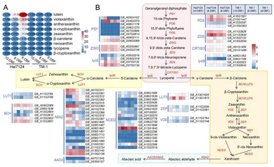 //mmbiz.qpic.cn/mmbiz_png/mvLP8HkvTxRBwc85Ht9fdY5GVmqMCgaTUmicq8ggrKyQuVuPbtXyokteicPPnvYY9DcWLfY4zkxFRliaFmaH4TGicw/640?wx_fmt=png&from=appmsg